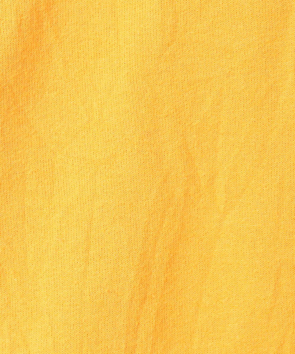 Championץޡå ѥå ɽ åȥĥͥ