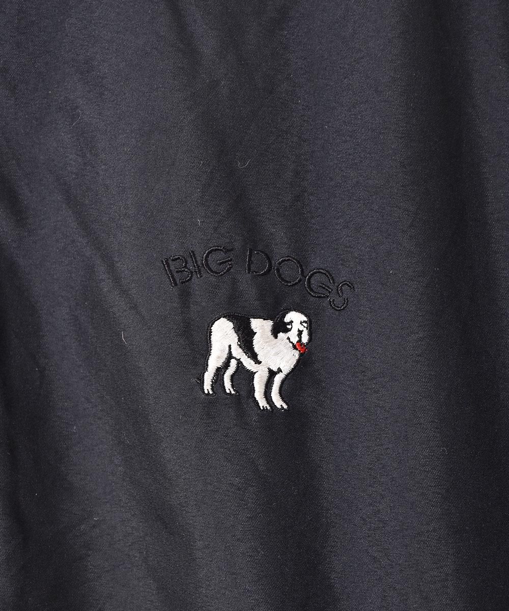 ɽ ¦ե꡼ ֥륾󥵥ͥ