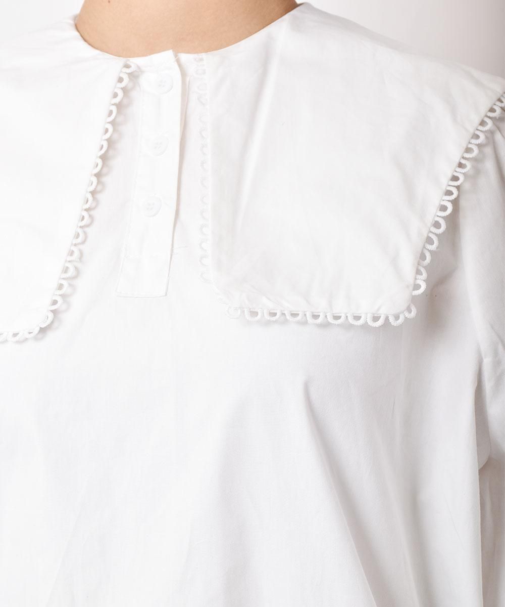 meridian 졼դ ӥå顼 ֥饦ͥ