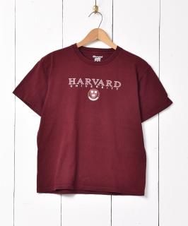 ChampionץϡС ץT 磻å Υͥå 岰졼ץե롼 ࡼ