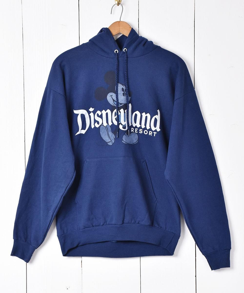  ߥåޥץȥѡDisneyland  ͥå  岰졼ץե롼 ࡼ