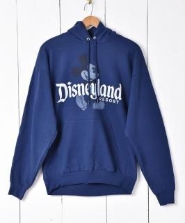 ߥåޥץȥѡDisneyland Υͥå 岰졼ץե롼 ࡼ