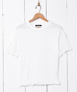 2Ÿۡmeridianץץ꡼ĥåȥ եۥ磻 Υͥå 岰졼ץե롼 ࡼ