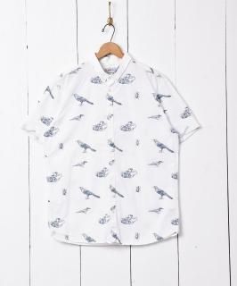 奢˥ޥ ܥ󥷥 Υͥå 岰졼ץե롼 ࡼ