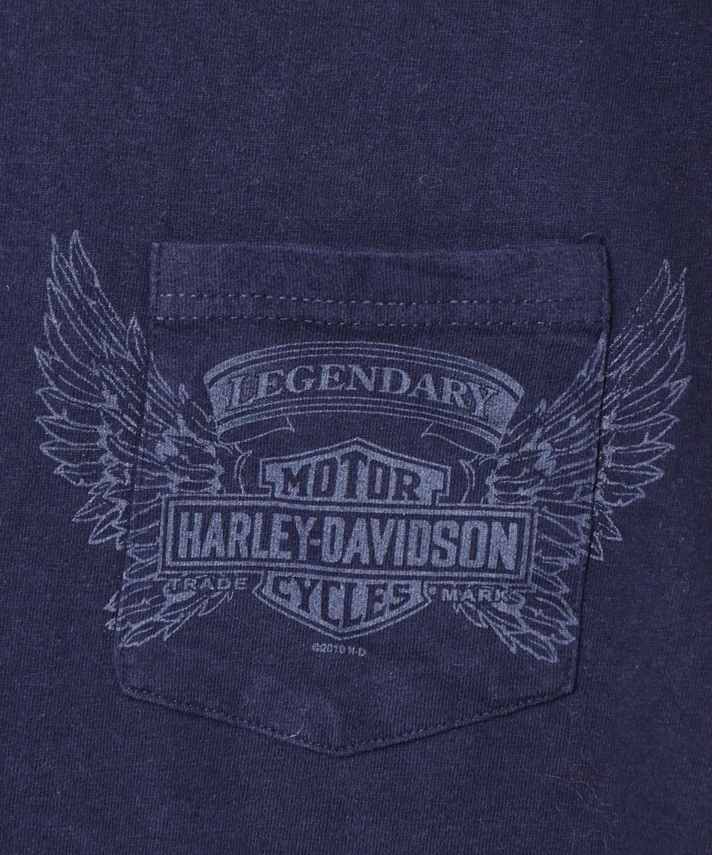 Harley Davidson ץݥåTĥͥ