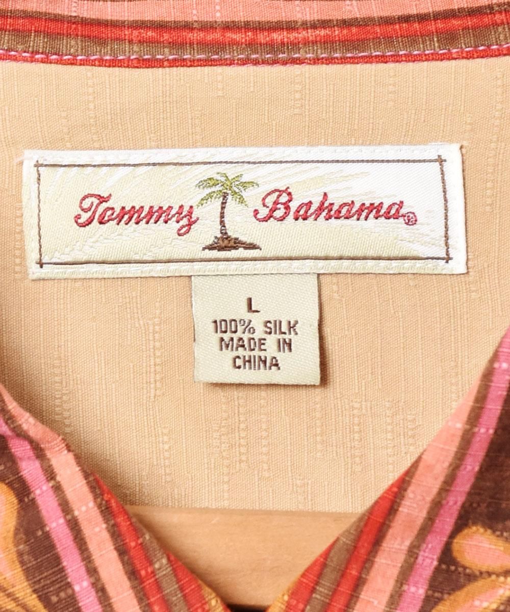 Tommy Bahamaץȥ饤 Ⱦµĥͥ