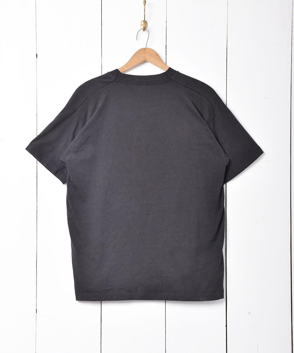 ꥫ SHRIMP OREE ץTĥͥ