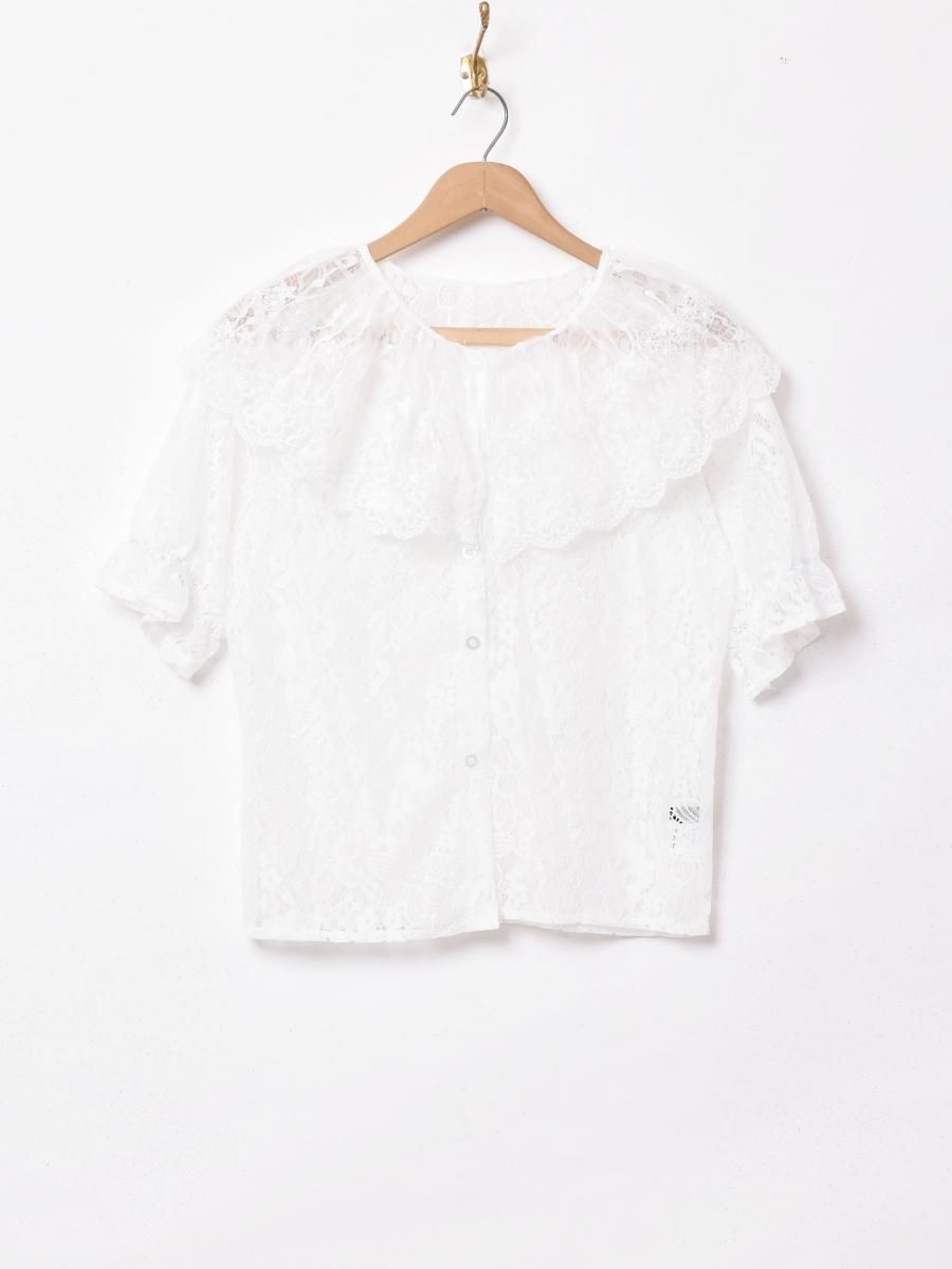  MeridianȾµ 졼֥饦  ͥå  岰졼ץե롼 ࡼ