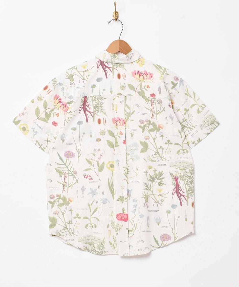 Emerald Motelץե ܥ˥ ͥߥå Ⱦµĥͥ