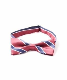 3Ÿۥȥ饤 ƥܥ 磻å Υͥå 岰졼ץե롼 ࡼ