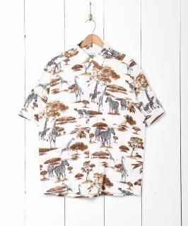 奢˥ޥץ Ⱦµͥ󥷥 Υͥå 岰졼ץե롼 ࡼ