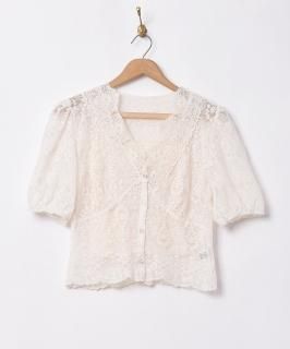 Meridianץ졼 Ⱦµ֥饦 Υͥå 岰졼ץե롼 ࡼ