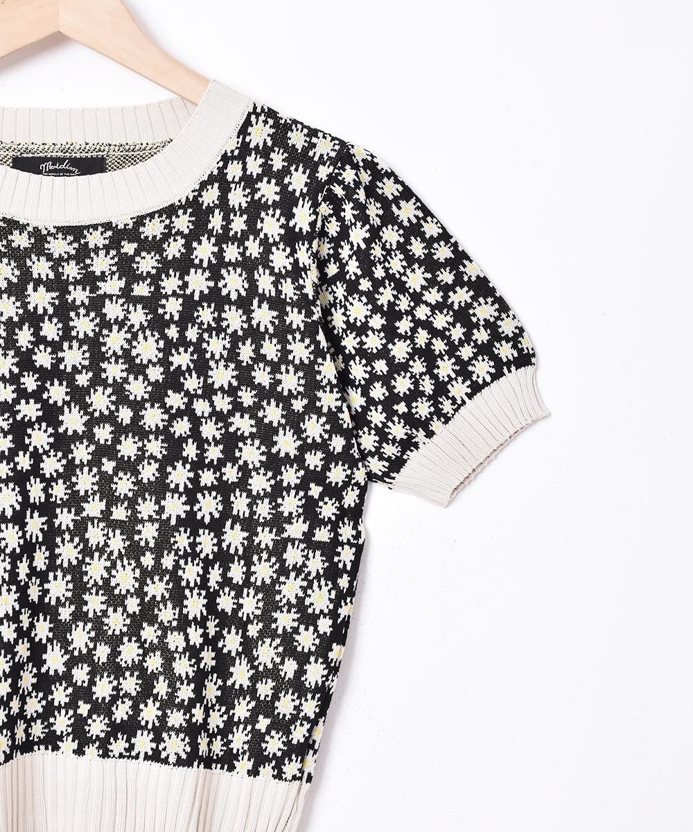 3ŸۡMeridianץեѥ Ⱦµ ޡ˥åȥȥåץ ֥åͥ