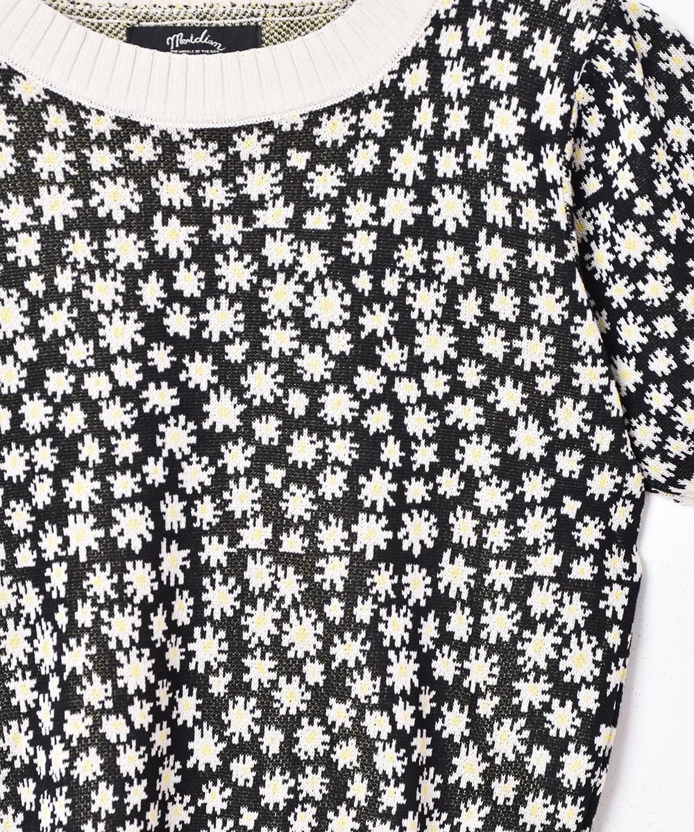 3ŸۡMeridianץեѥ Ⱦµ ޡ˥åȥȥåץ ֥åͥ