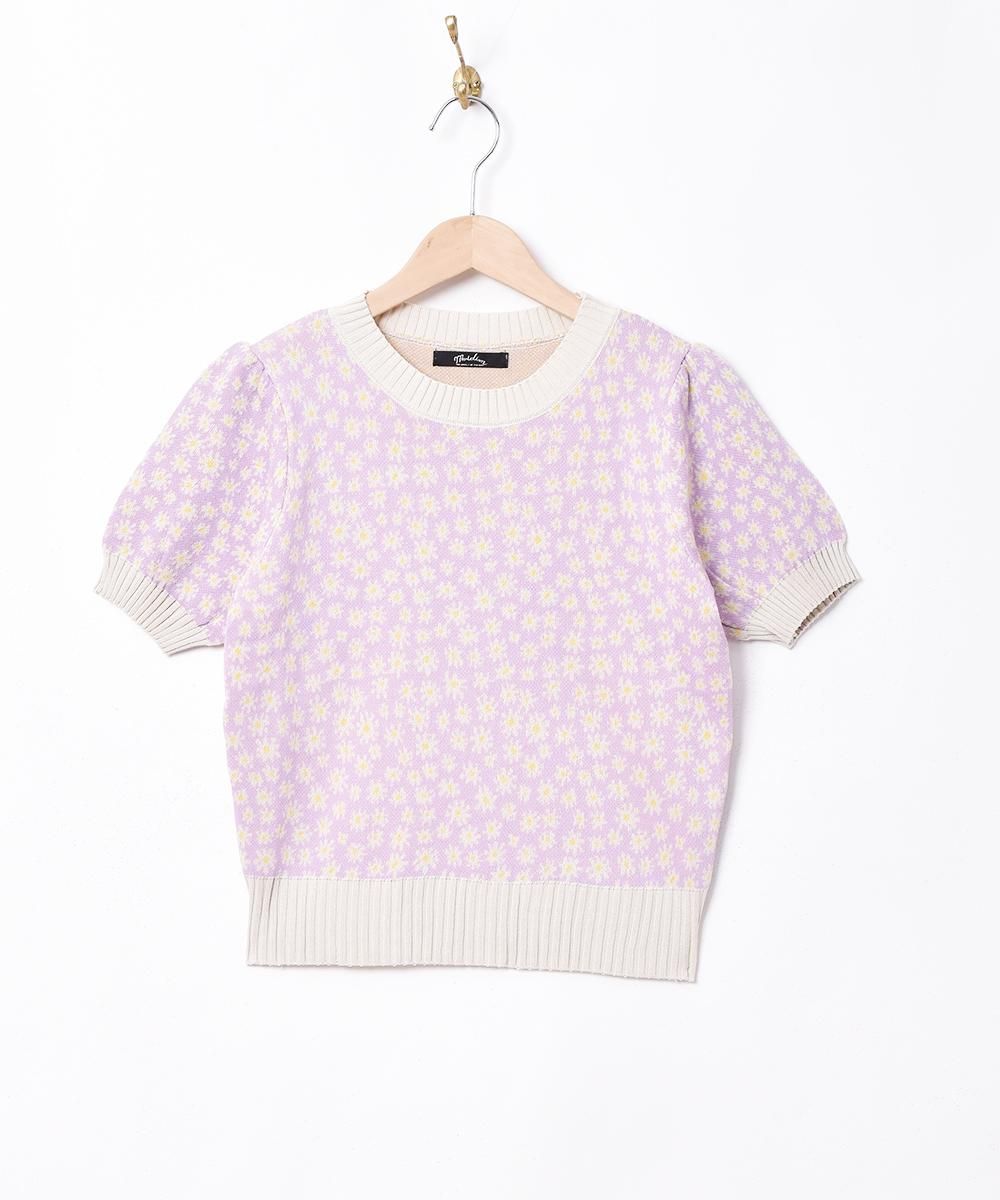 3ŸۡMeridianץեѥ Ⱦµ ޡ˥åȥȥåץ ֥åͥ