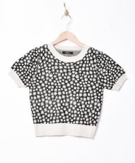 3ŸۡMeridianץեѥ Ⱦµ ޡ˥åȥȥåץ ֥å Υͥå 岰졼ץե롼 ࡼ