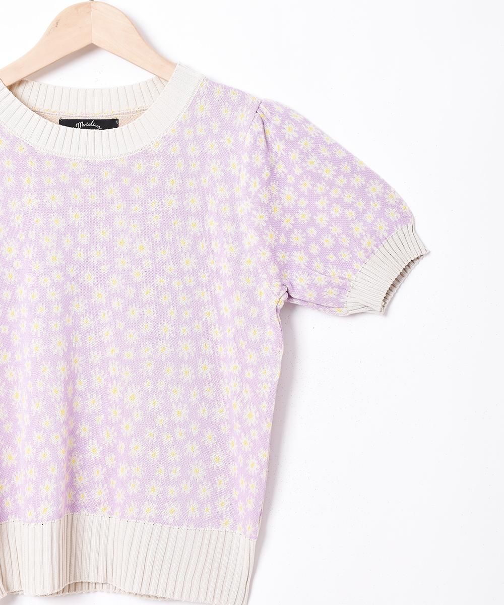 3ŸۡMeridianץեѥ Ⱦµ ޡ˥åȥȥåץ ԥ󥯥ͥ