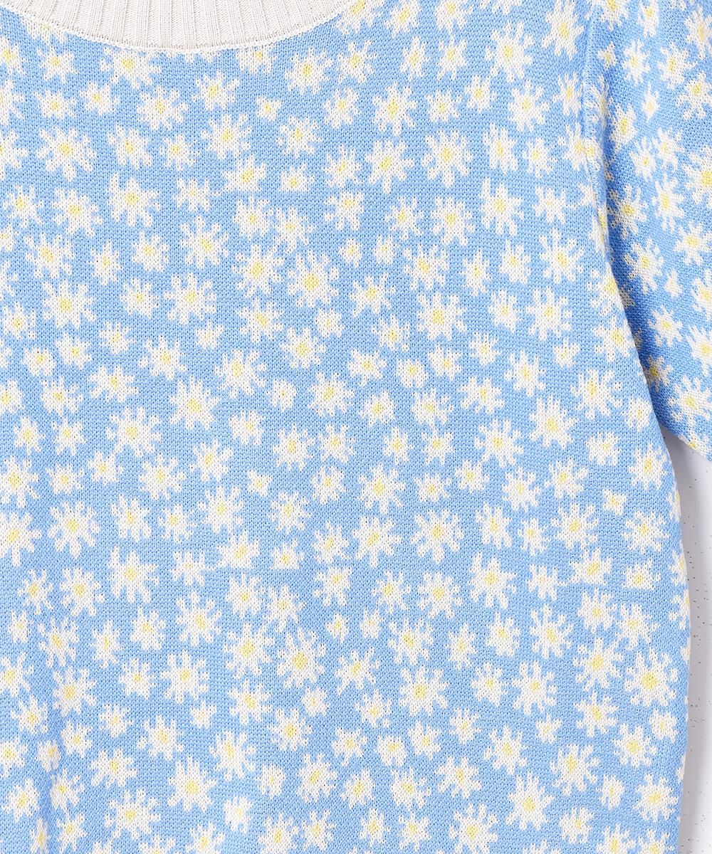 3ŸۡMeridianץեѥ Ⱦµ ޡ˥åȥȥåץ å֥롼ͥ