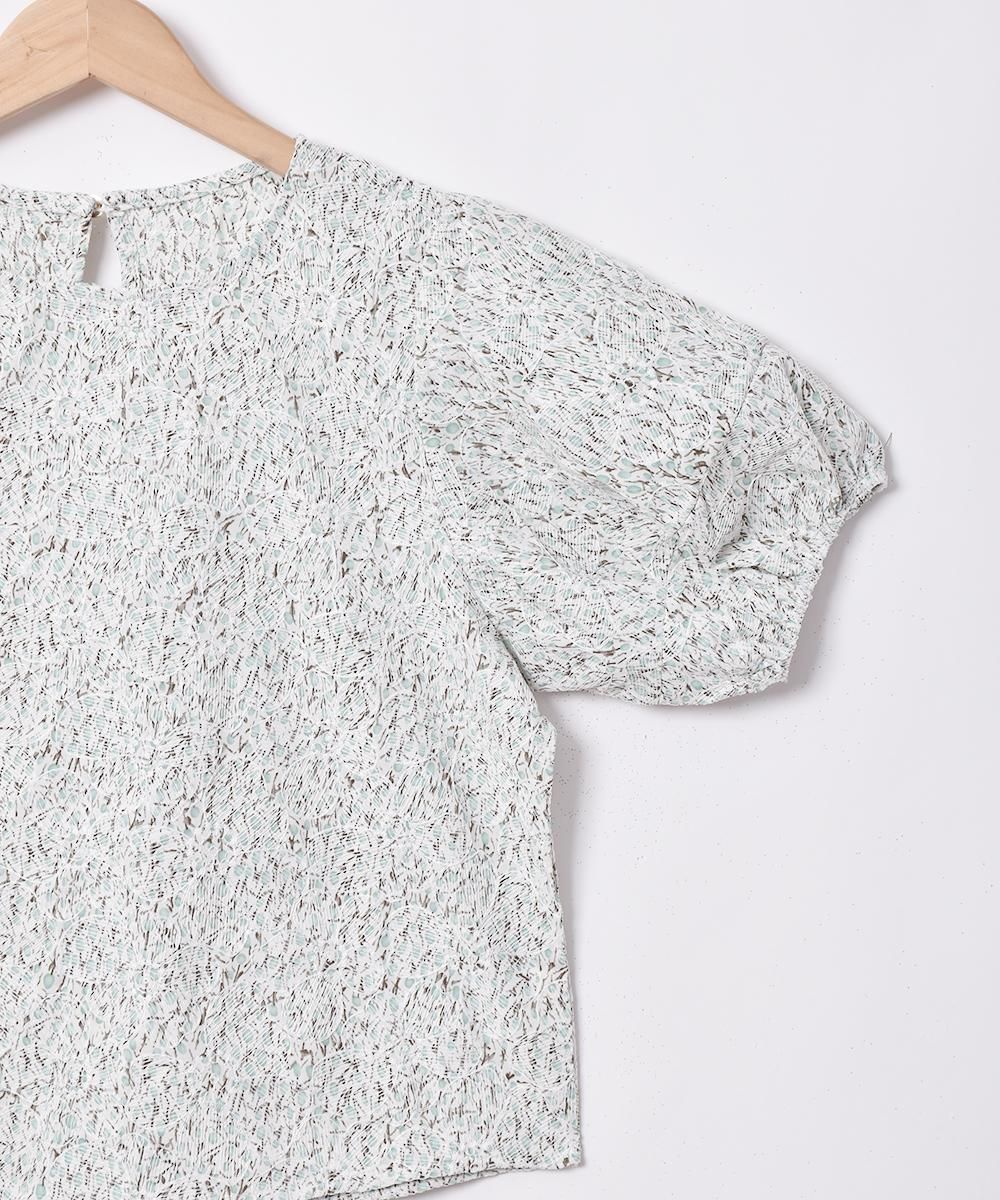 2ŸۡMeridianץեɽ Х롼󥹥꡼ Ⱦµȥåץ ꡼󥵥ͥ