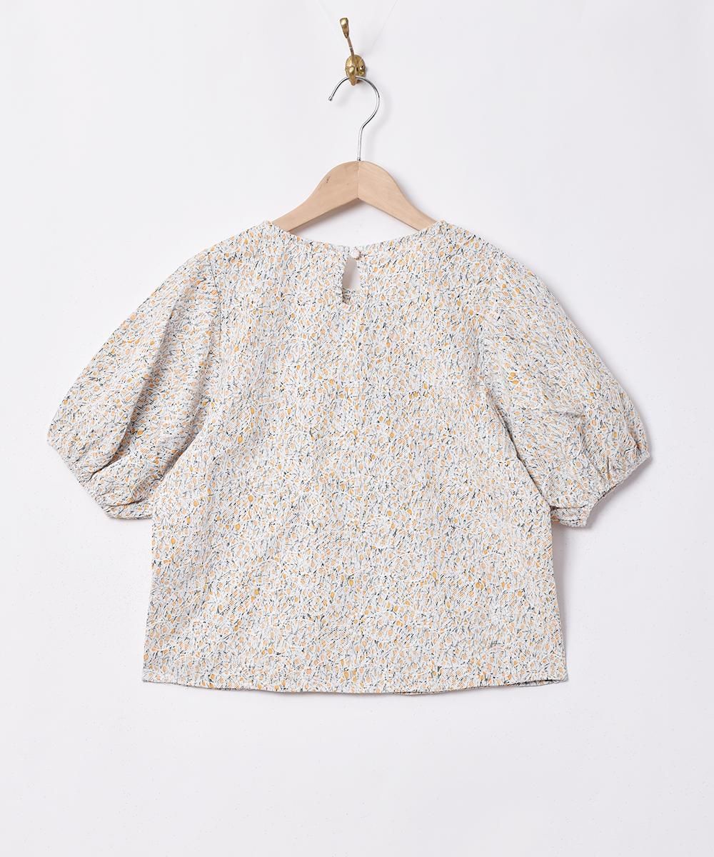 2ŸۡMeridianץեɽ Х롼󥹥꡼ Ⱦµȥåץ ͥ