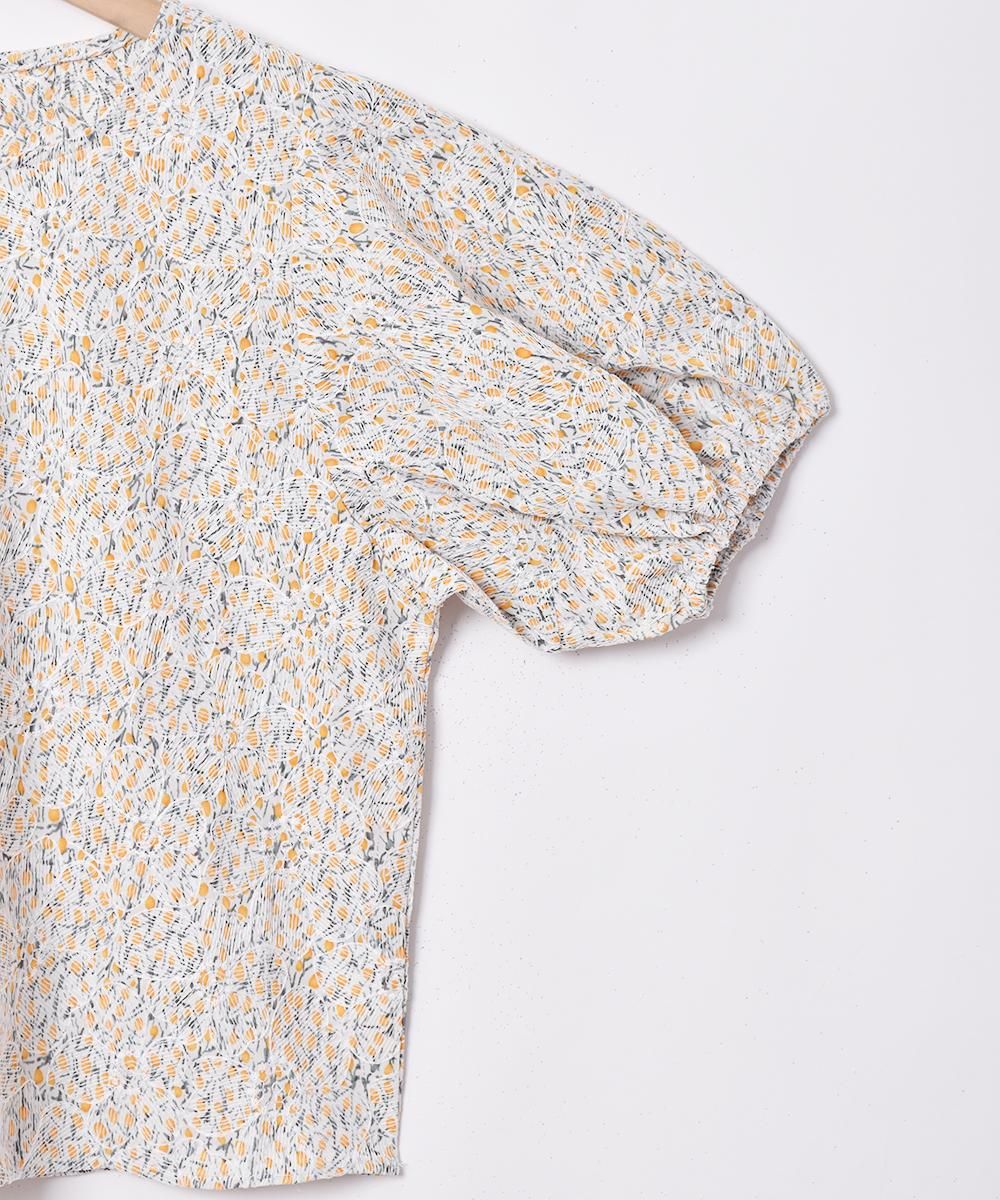 2ŸۡMeridianץեɽ Х롼󥹥꡼ Ⱦµȥåץ ͥ