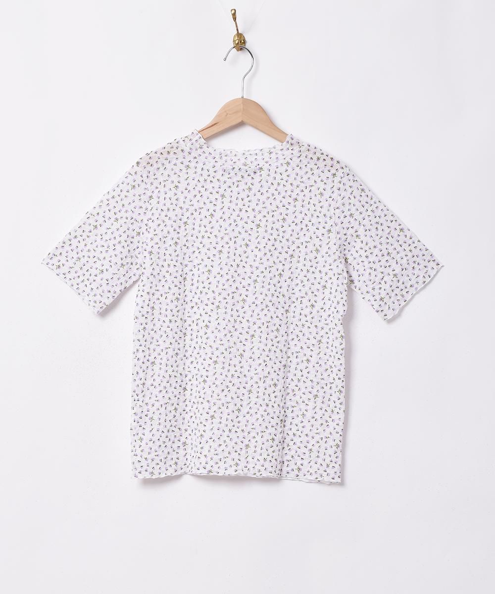 2ŸۡMeridianץեѥ Ⱦµåȥ ۥ磻ȥͥ