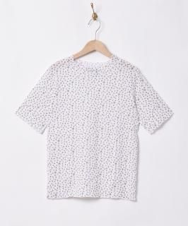 2ŸۡMeridianץեѥ Ⱦµåȥ ۥ磻 Υͥå 岰졼ץե롼 ࡼ