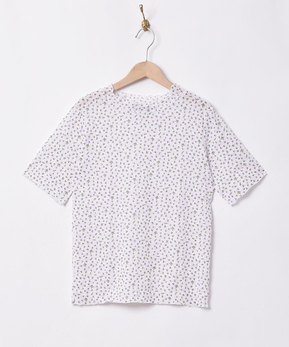 2ŸۡMeridianץեѥ Ⱦµåȥ ֥åͥ