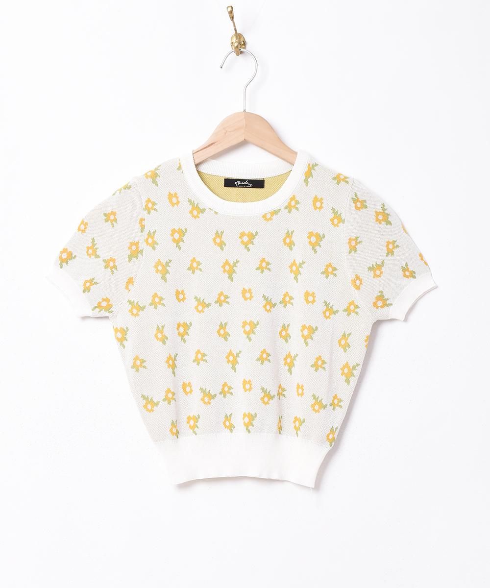  Meridianץեѥ Ⱦµ ޡ˥å  ͥå  岰졼ץե롼 ࡼ