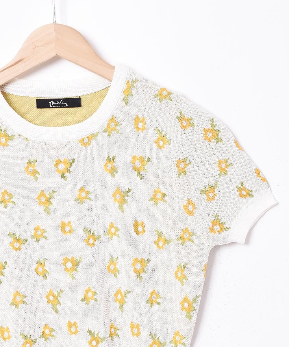 Meridianץեѥ Ⱦµ ޡ˥åȥͥ