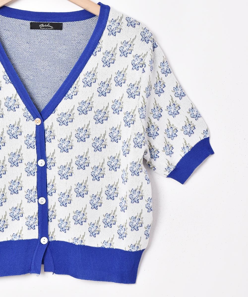 2ŸۡMeridianץեѥ Ⱦµ˥åȥǥ ֥롼ͥ