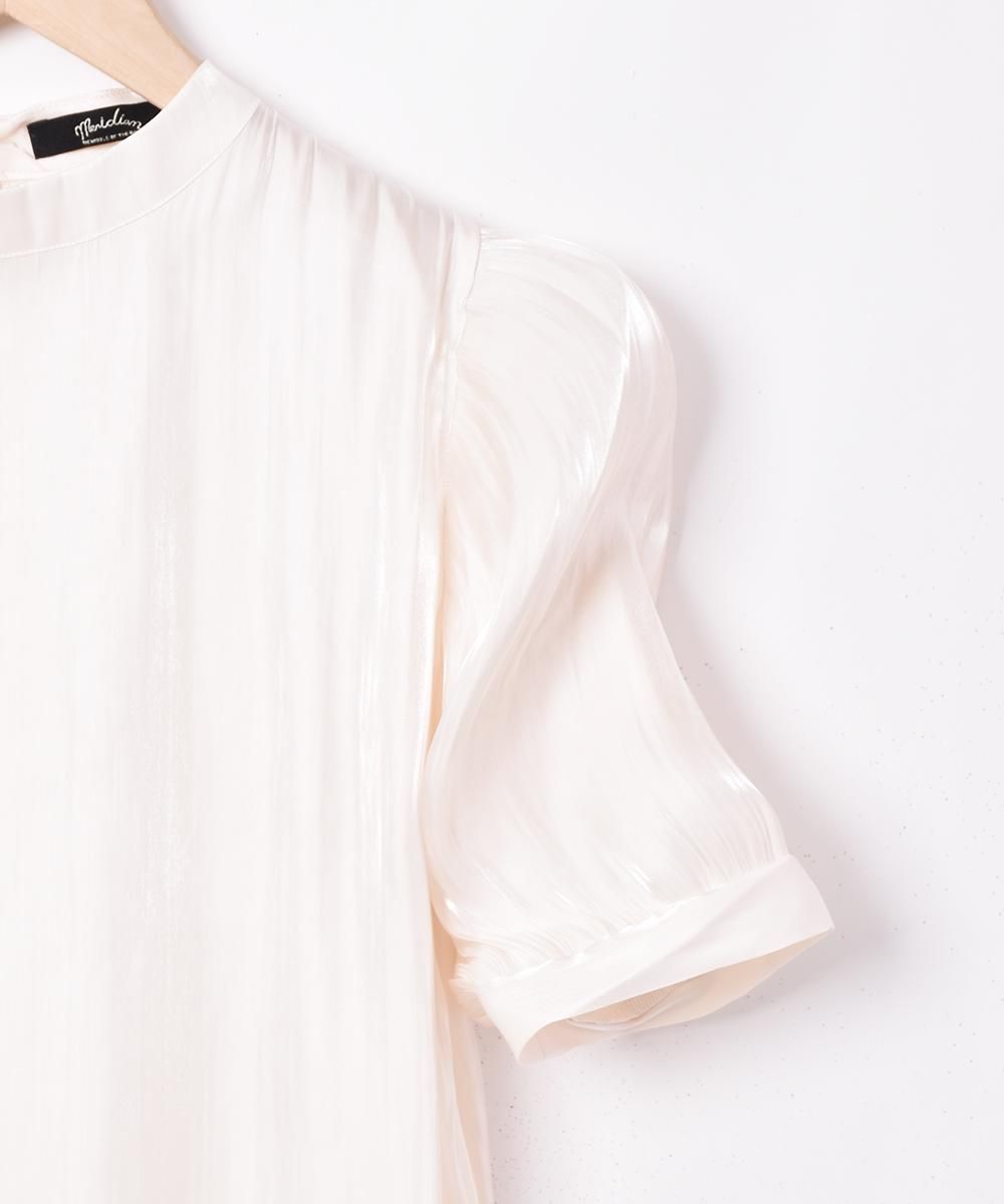 3ŸۡMeridianץǥ󥹥꡼ Ⱦµȥåץ  ۥ磻ȥͥ