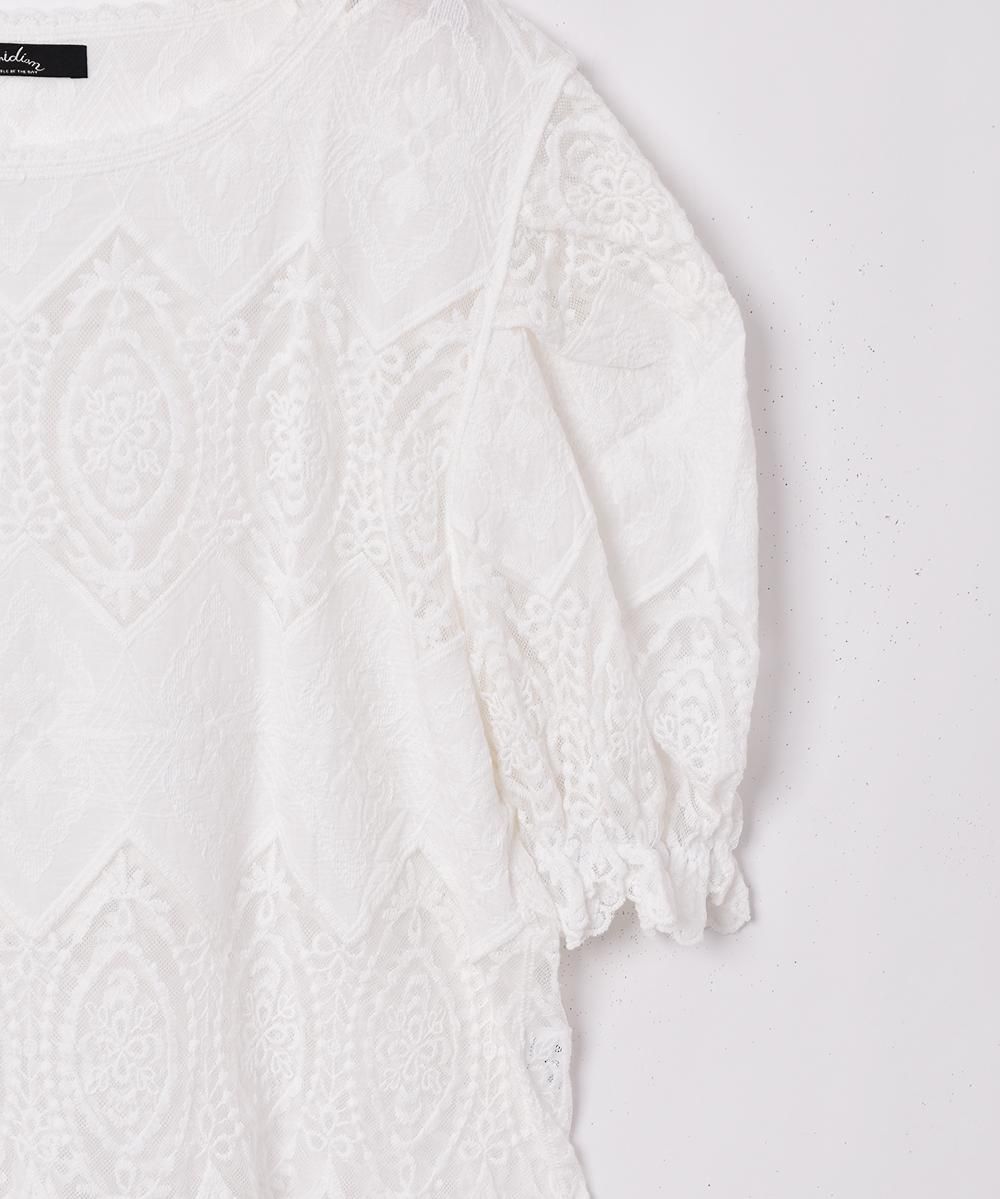 ѥե꡼ åץ졼 Ⱦµ֥饦ͥ