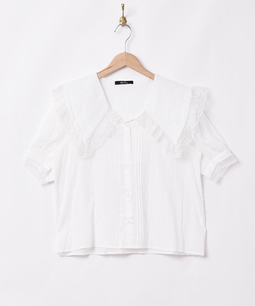  Meridianץӥå顼졼 Ⱦµ֥饦  ͥå  岰졼ץե롼 ࡼ