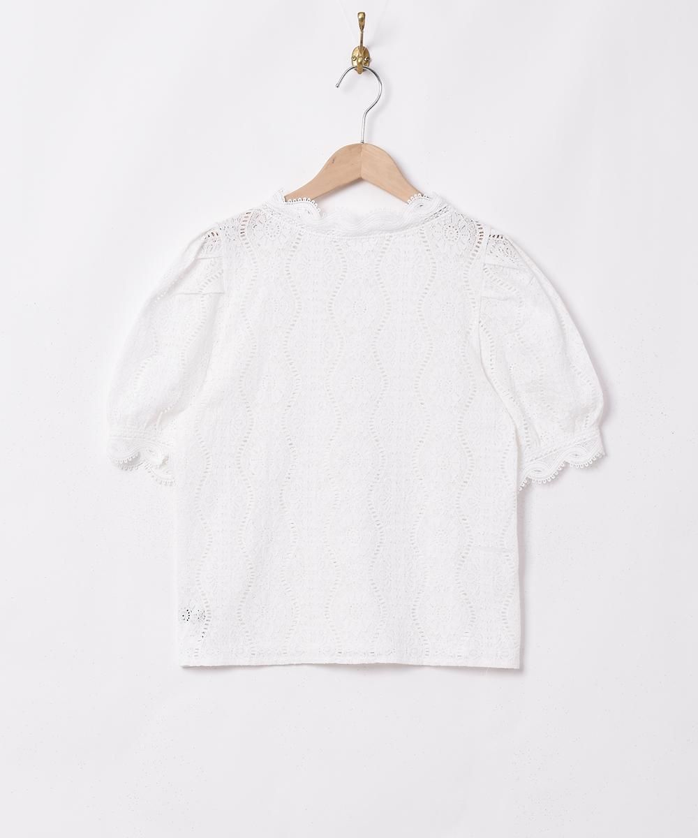 Meridianץѥե꡼ Ⱦµ 졼֥饦ͥ