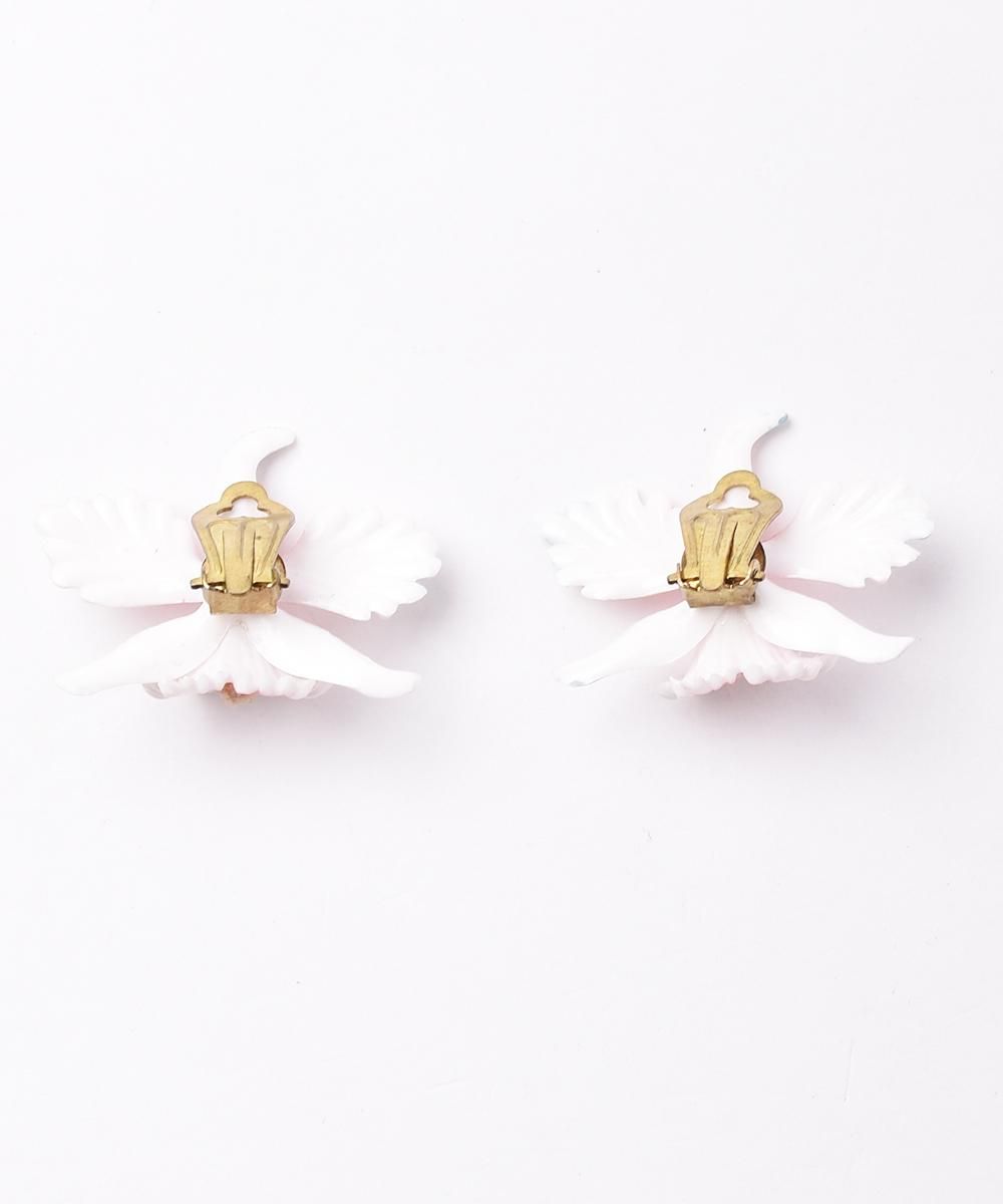 ǡ󥫥顼 ե󥰥ͥ