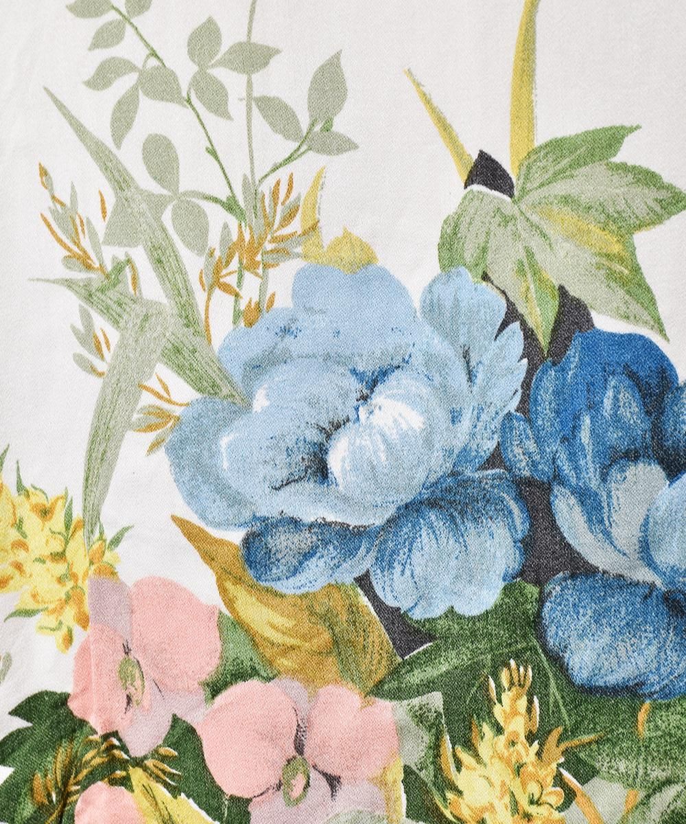 եץ Ρ꡼֥ȥåץͥ