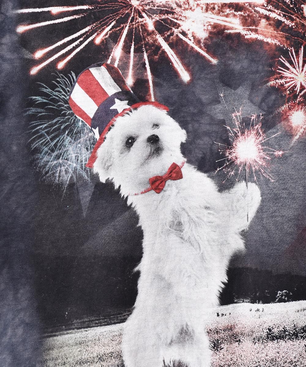 ǥڥǥ󥹥ǥ  ץTĥͥ