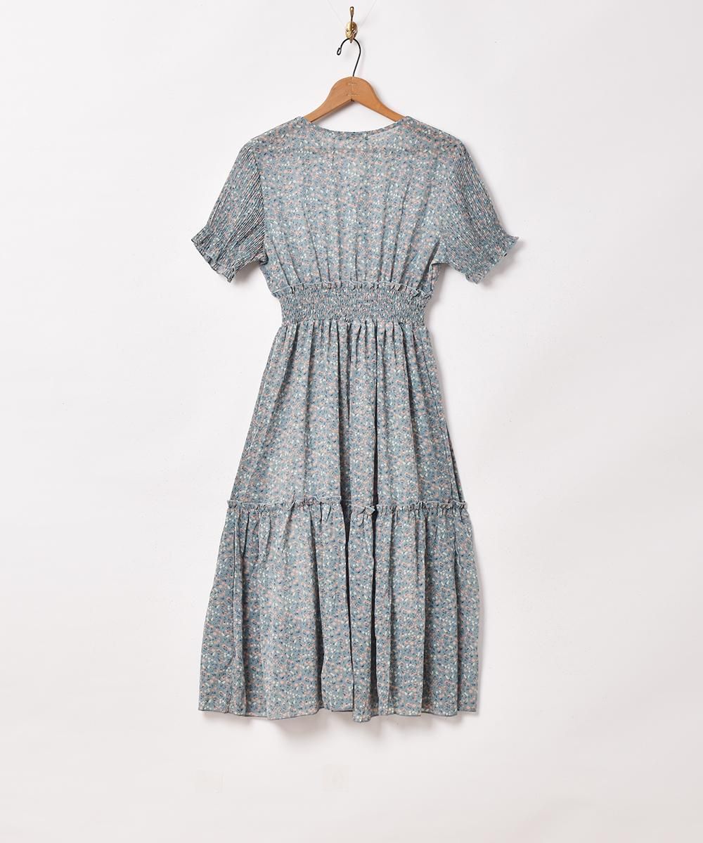 Meridian׾ ץ꡼ĥ꡼֥ԡͥ