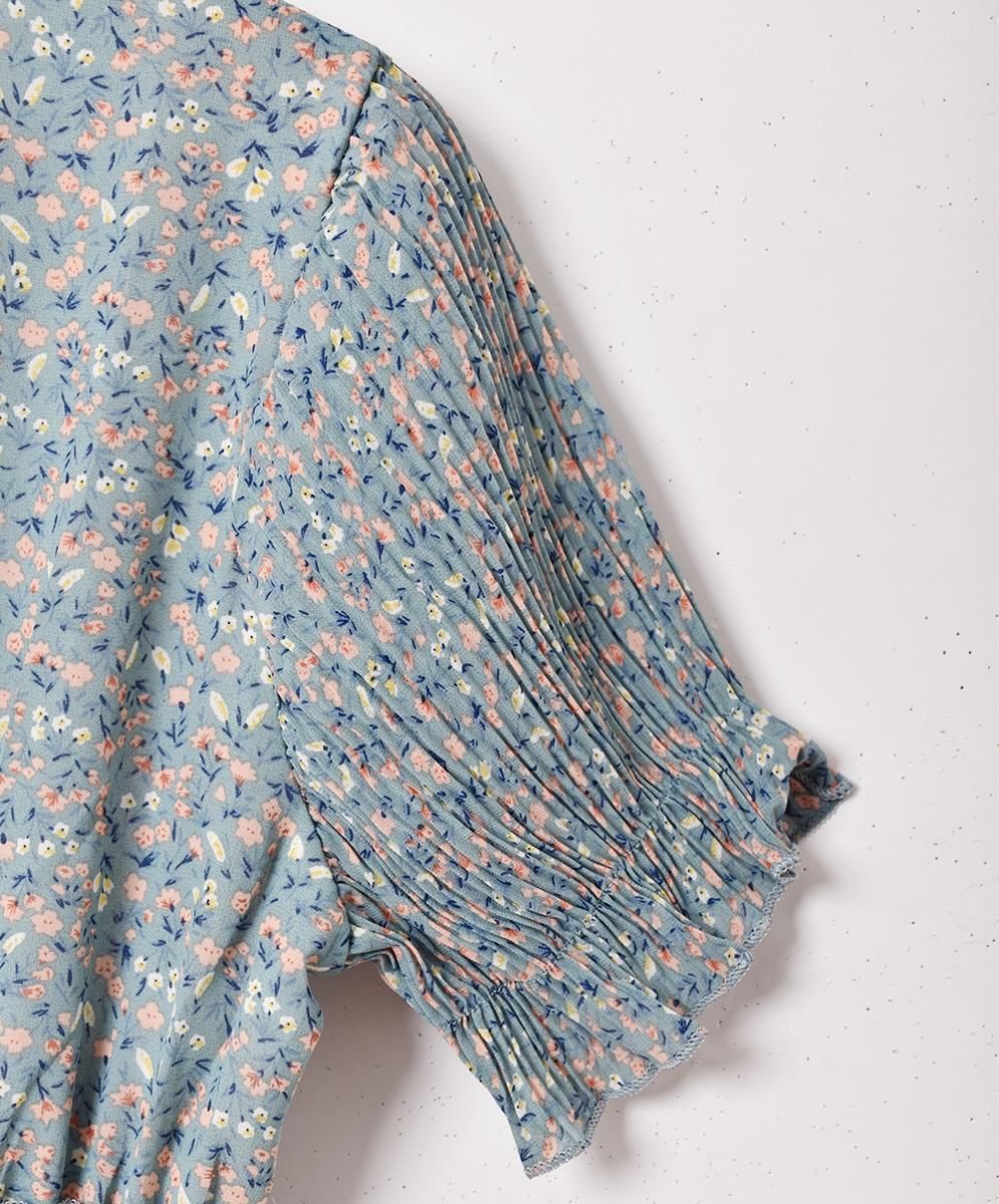 Meridian׾ ץ꡼ĥ꡼֥ԡͥ