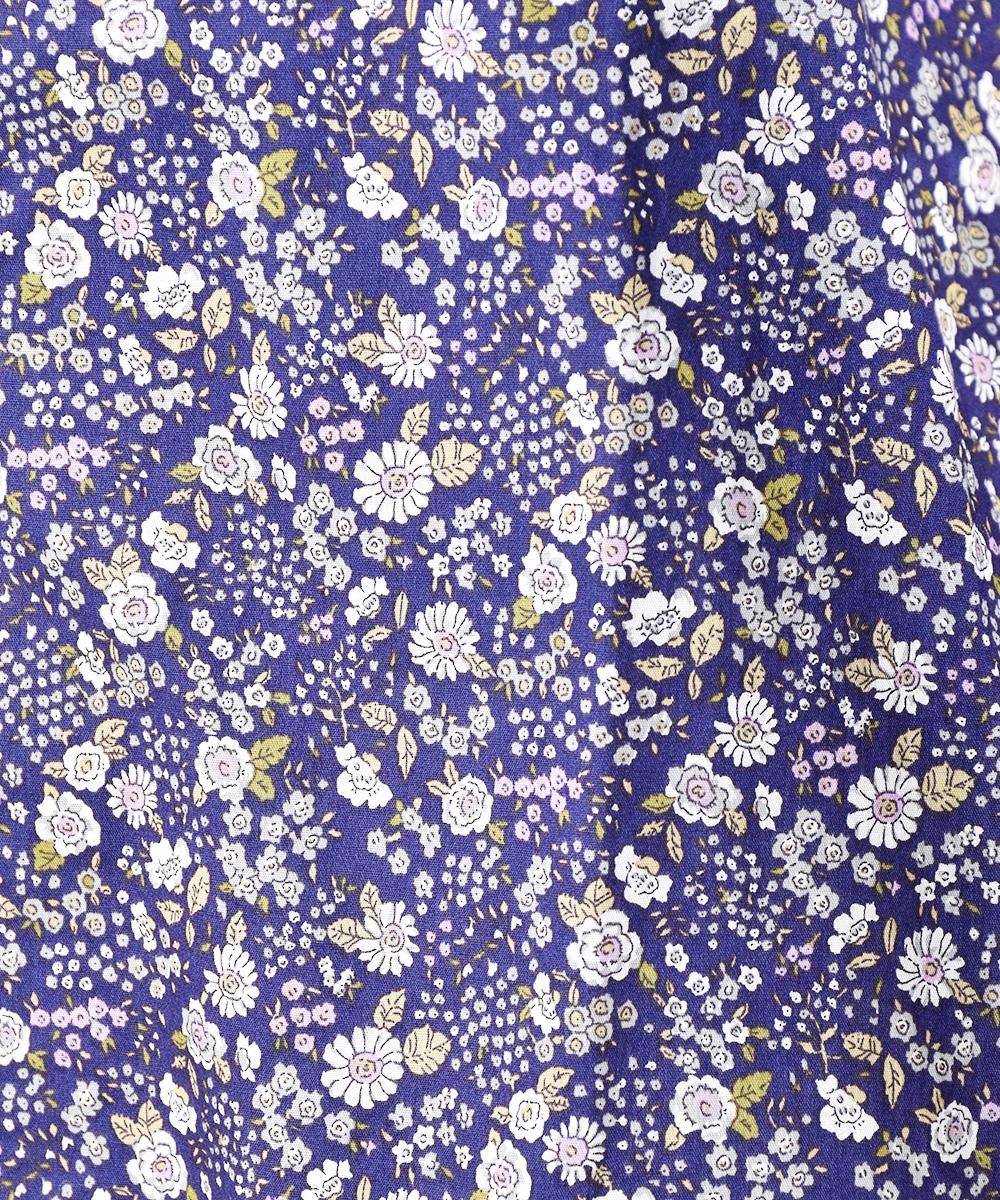 Meridian׾ ֥륫顼Ⱦµ֥饦ͥ