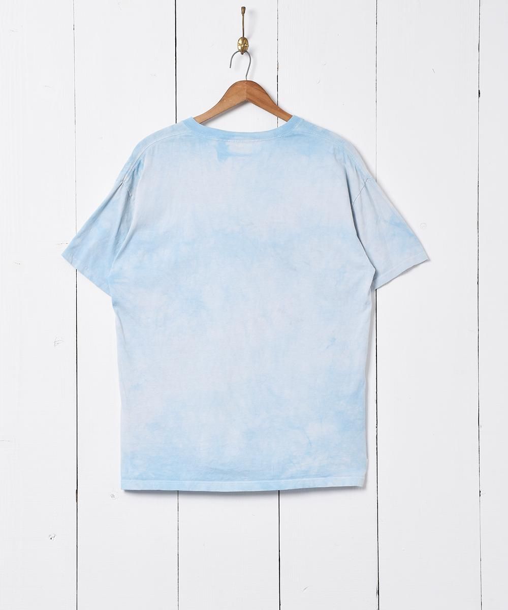 ꥫ The Mountain ᥢ˥ޥץTĥͥ