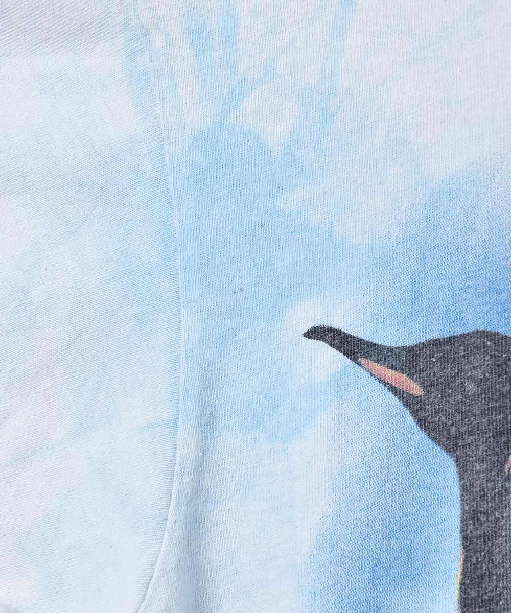 ꥫ The Mountain ᥢ˥ޥץTĥͥ