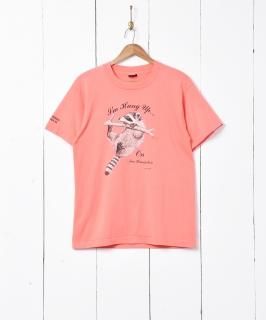 奢ꥫ ˥ޥץT Υͥå 岰졼ץե롼 ࡼ