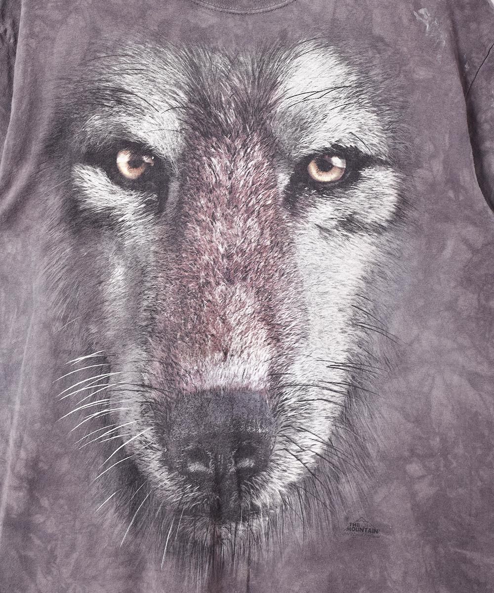 ꥫ THE MOUNTAIN ᥢ˥ޥץTĥͥ