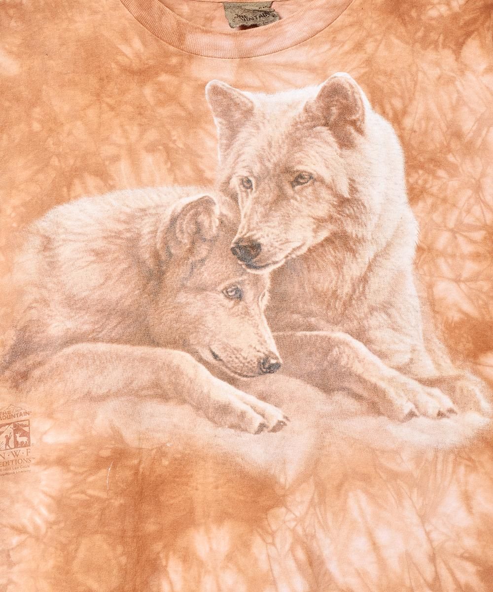 THE MOUNTAIN ᥢ˥ޥץTͥ