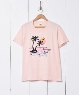 䥷 ץT Υͥå 岰졼ץե롼 ࡼ