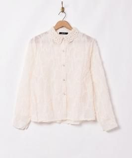 2ŸۡMeridianץ졼顼֥饦 ۥ磻 Υͥå 岰졼ץե롼 ࡼ