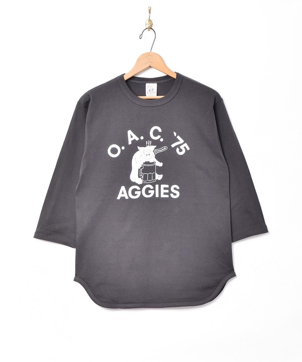  ԥåץĹµT  ͥå  岰졼ץե롼 ࡼ