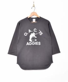 ԥåץĹµT Υͥå 岰졼ץե롼 ࡼ